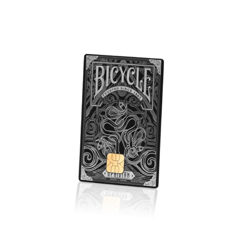 Bicycle Playing Card