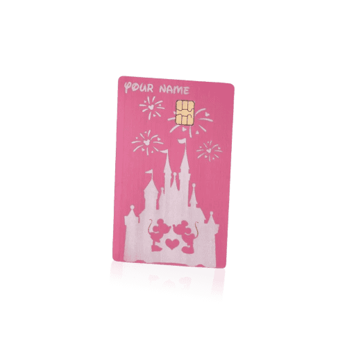Disney Castle