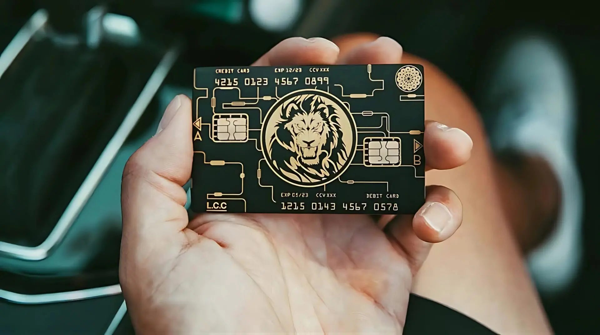 Dual Chip Card